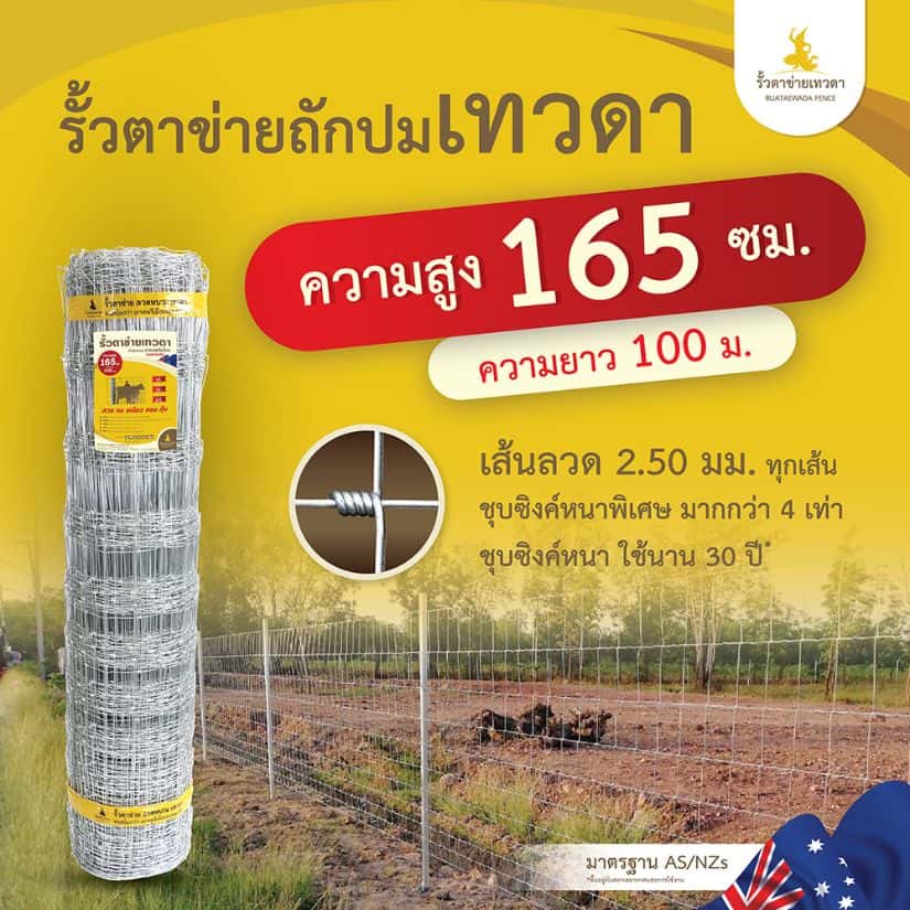 รั้วตาข่ายเทวดา รั้วตาข่ายถักปม ความสูง 165 ซม. ลวดหนา 2.5 มม. (ยาว 100 เมตร) [อายุการใช้งาน 40 ปี*]
