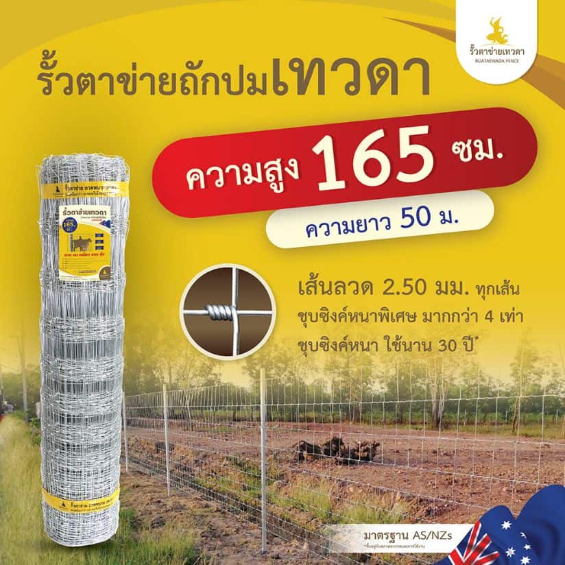 รั้วตาข่ายเทวดา รั้วตาข่ายถักปม ความสูง 165 ซม. ลวดหนา 2.5 มม. (ยาว 50 เมตร) [อายุการใช้งาน 40 ปี*]