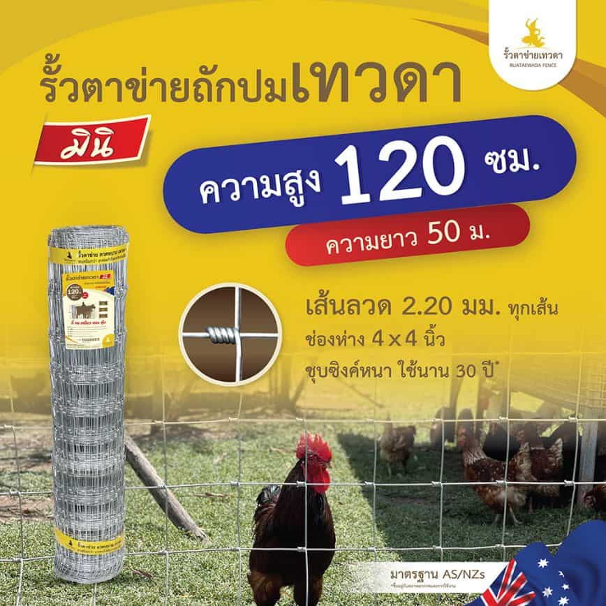 รั้วตาข่ายถักปมเทวดา มินิ -ความสูง 120 เซนติเมตร (ยาว 50 เมตร) ช่องห่าง 10 ซม. รุ่นถี่ 4x4 ไล่ระดับ [อายุใช้งาน 30 ปี*]