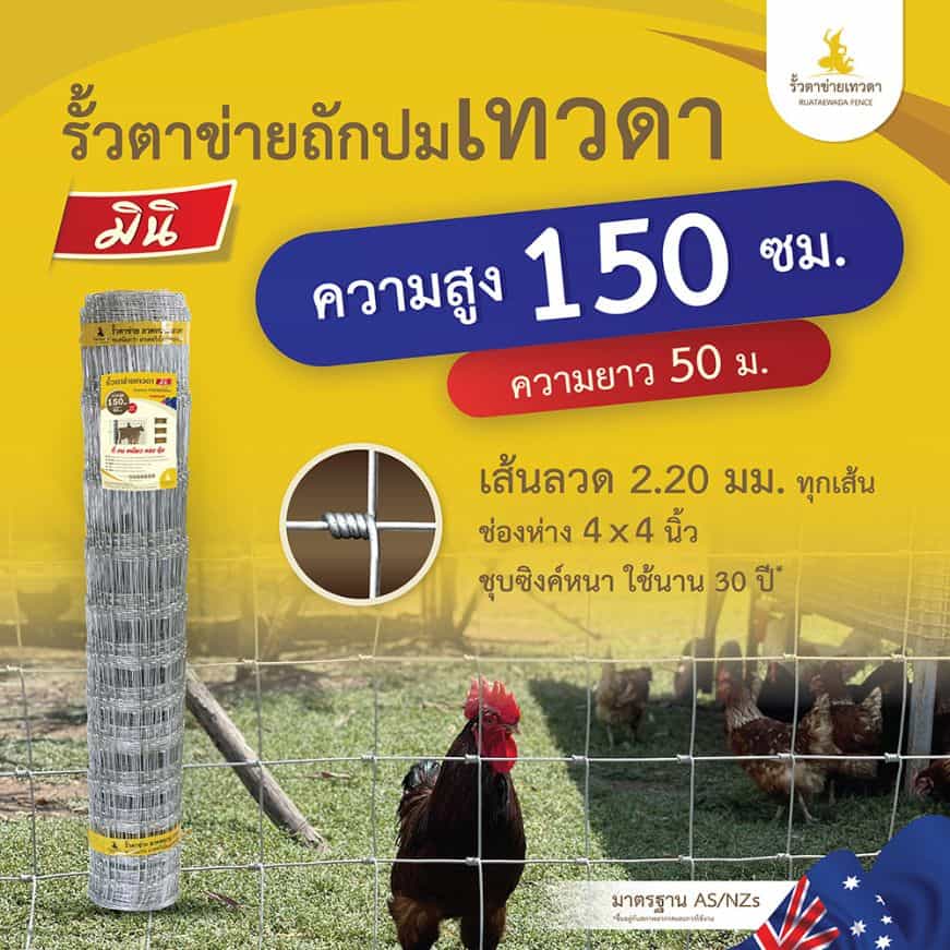 รั้วตาข่ายถักปมเทวดา มินิ รุ่นถี่ 4×4 นิ้ว ไล่ระดับ ความสูง 150 เซนติเมตร ลวดหนา 2.2 มม.(ยาว 50 เมตร) [อายุใช้งาน 30 ปี*]