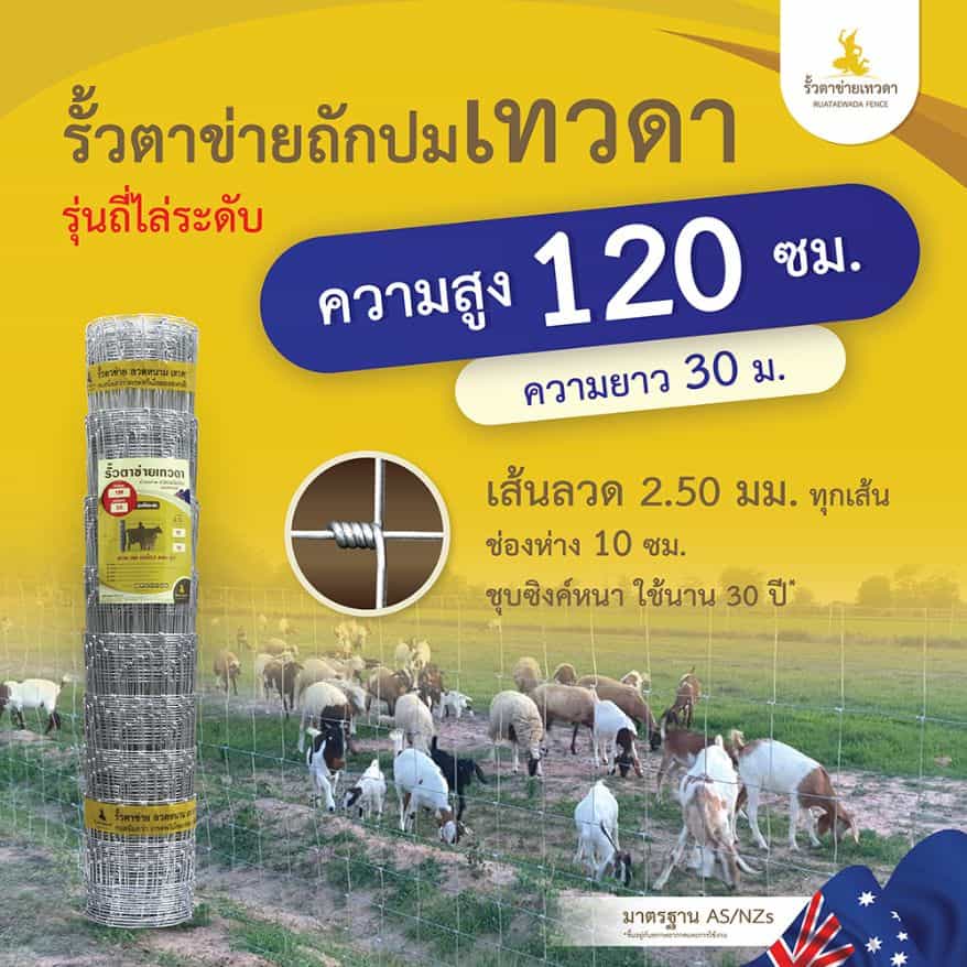 รั้วตาข่าย รั้วเทวดา – รุ่นถี่ไล่ระดับ ช่องห่าง 10 ซม. ความสูง 120 ซม. ลวดหนา 2.5 มม. (ยาว 30 เมตร) [อายุการใช้งาน 40 ปี*]