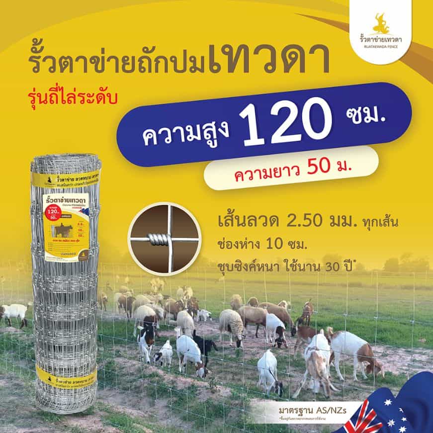 รั้วตาข่าย รั้วเทวดา – รุ่นถี่ไล่ระดับ ช่องห่าง 10 ซม. ความสูง 120 ซม. ลวดหนา 2.5 มม. (ยาว 50 เมตร) [อายุการใช้งาน 40 ปี*]