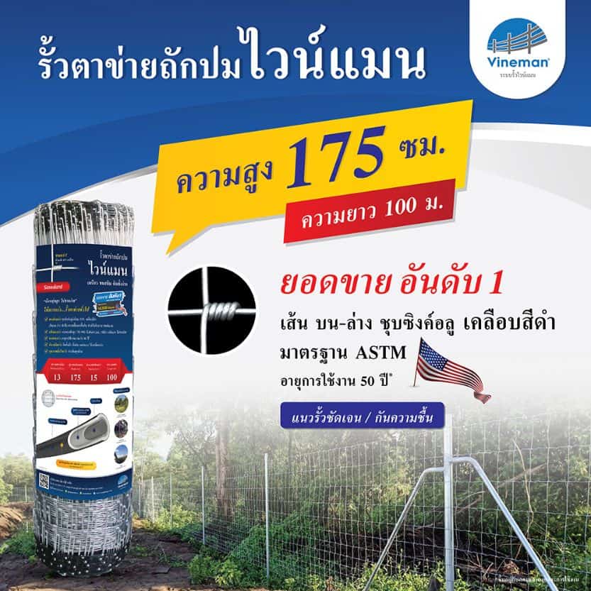 รั้วตาข่ายไวน์แมน รั้วตาข่ายถักปม – รุ่นความสูง 175 ซม.ลวดหนา 2.5 มม.(ยาว 100 เมตร) [อายุการใช้งาน 50 ปี*]
