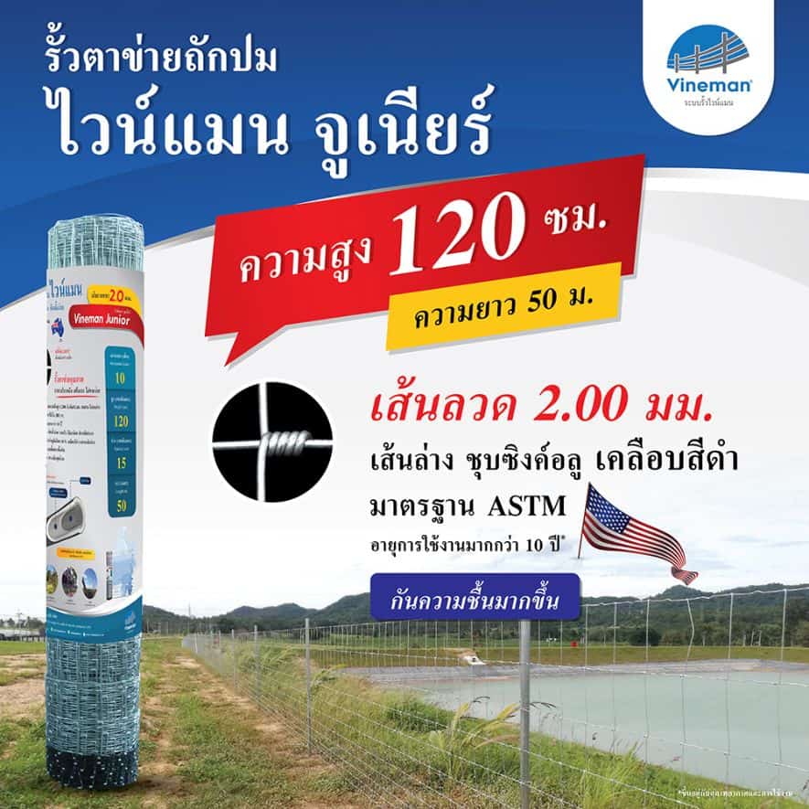 รั้วตาข่ายไวน์แมนจูเนียร์ รั้วตาข่ายถักปม – รุ่นความสูง 120 ซม.ลวดหนา 2.0 มม. (ยาว 50 เมตร) [อายุการใช้งาน 10 ปี*]