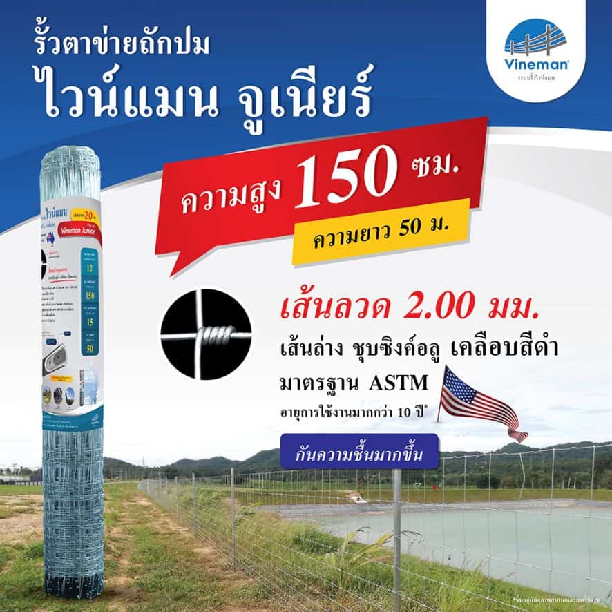 รั้วตาข่ายไวน์แมนจูเนียร์ รั้วตาข่ายถักปม – รุ่นความสูง 150 ซม.ลวดหนา 2.0 มม. (ยาว 50 เมตร) [อายุการใช้งาน 10 ปี*]