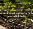 DIY ติดตั้งระบบน้ำหยดในไร่ ทำเองง่ายๆ ลดต้นทุน เพิ่มผลผลิต